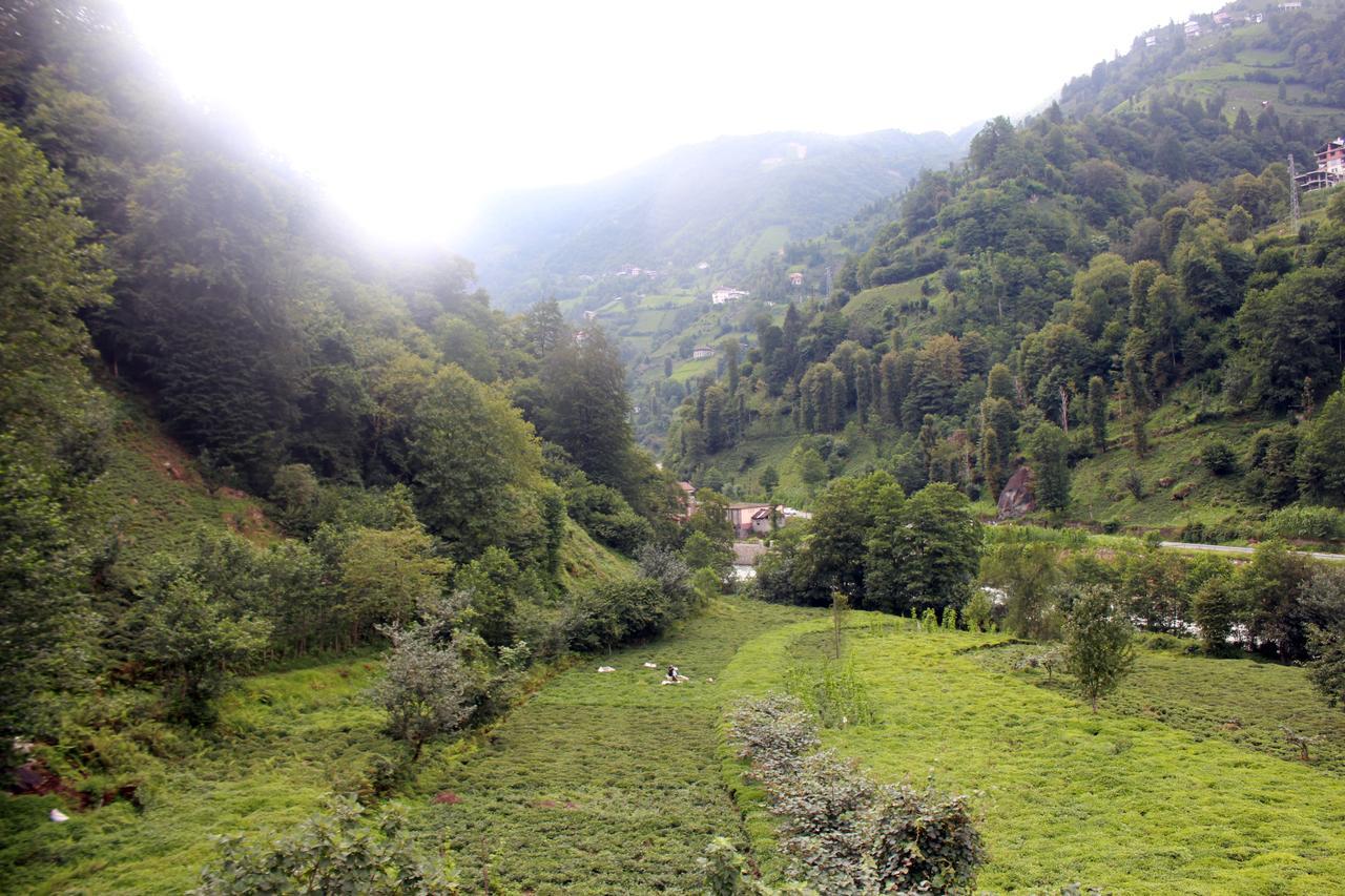 Tanura Bungalows Çamlıhemşin Extérieur photo